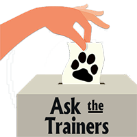 Having a training problem? Ask the trainers!