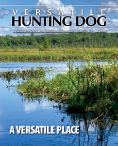 Link to Versatile Hunting Dog Magazine